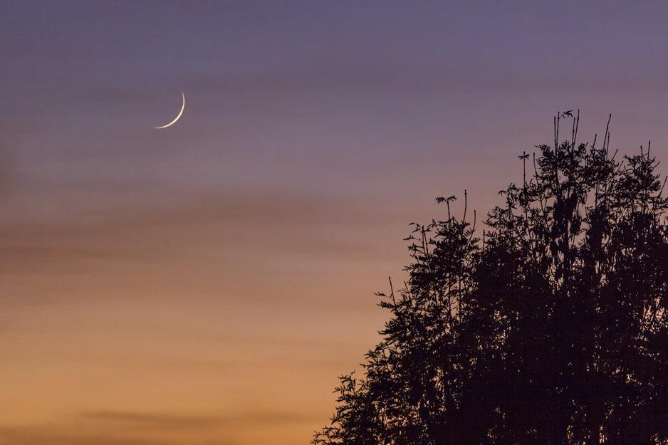 Un espace sacré sous l'influence de la lune, avec des outils pour vos rituels de purification et de manifestation.