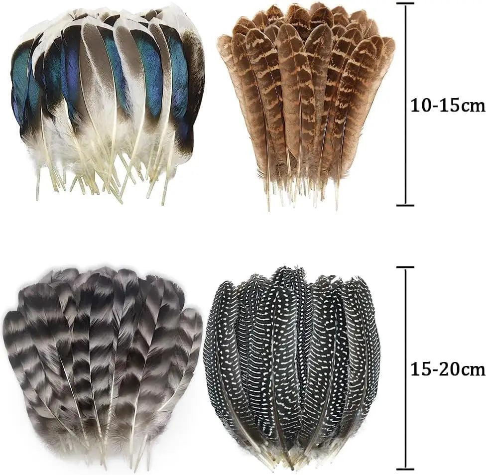 Plumes Naturelles de Faisan et Dinde - Accessoires pour Rituels, Magie et Artisanat Mystique