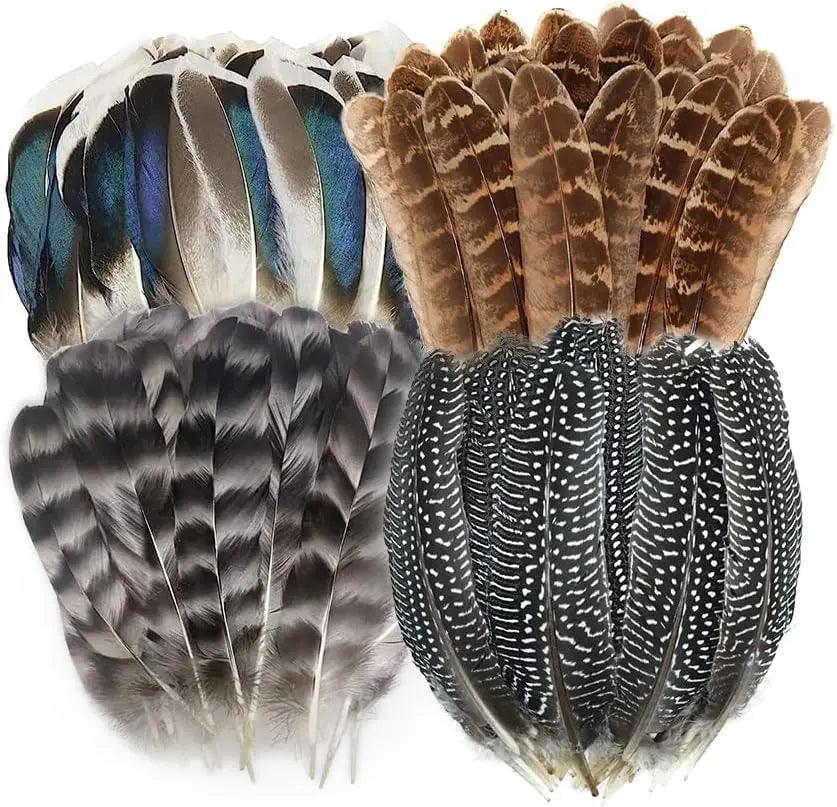 Plumes Naturelles de Faisan et Dinde - Accessoires pour Rituels, Magie et Artisanat Mystique