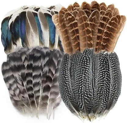 Plumes Naturelles de Faisan et Dinde - Accessoires pour Rituels, Magie et Artisanat Mystique - Variante